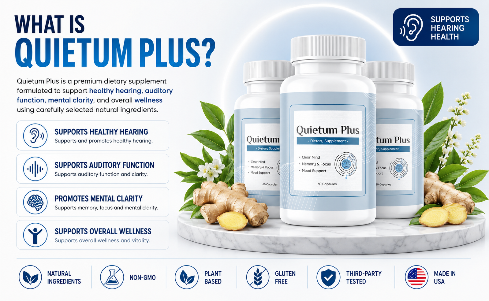 What is Quietum Plus